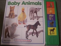 Baby Animals