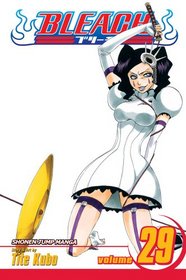 Bleach, Vol 29