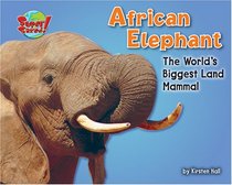 African Elephant: The World's Biggest Land Mammal (Supersized!)