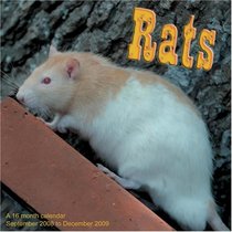 Rats 2009 Wall Calendar