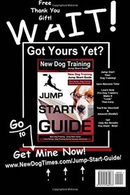 Black Labrador Training with the | No BRAINER Dog TRAINER ~ We Make it THAT Easy!: How to EASILY TRAIN Your Black Labrador (Volume 1)