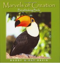 Breathtaking Birds  (Marvels of Creation)