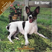 Rat Terrier 2008 Wall Calendar
