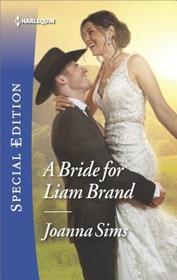 A Bride for Liam Brand (Brands of Montana, Bk 10) (Harlequin Special Edition, No 2602)