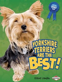 Yorkshire Terriers Are the Best! (The Best Dogs Ever)