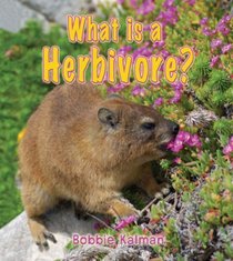What Is a Herbivore? (Look, Listen, Learn)