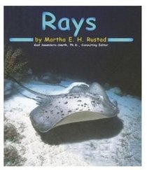Rays [Scholastic] (Ocean Life)