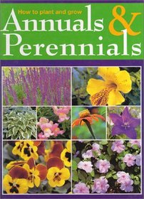 How to Plant and Grow Annuals and Perennials