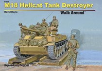 M18 Hellcat Tank Destroyer Walk Around (67029)