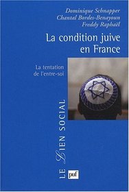 La condition juive en France (French Edition)
