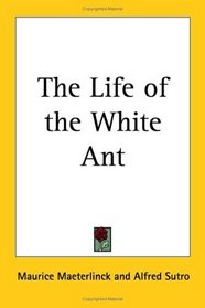 The Life of the White Ant