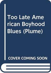 Too Late American Boyhood (Plume)