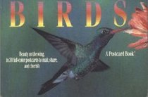 Birds: A Postcard Book