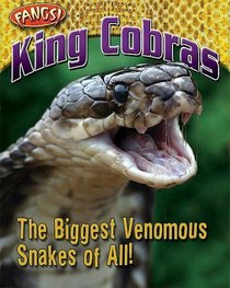 King Cobras: The Biggest Venomous Snakes of All! (Fangs)