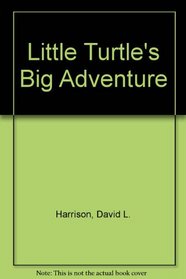 Little Turtles Big Adv