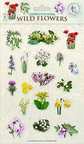 Sticker Play Scene: Wild Flowers (Sticker Play Scenes)