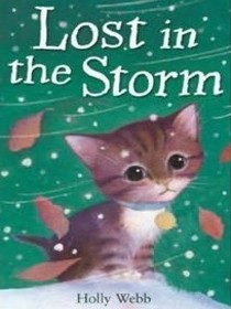 Lost in the Storm