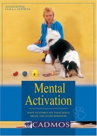 Mental Activation: Ways to Stimulate Your Dog's Brain and Avoid Boredom