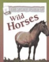 The Secret World of Wild Horses