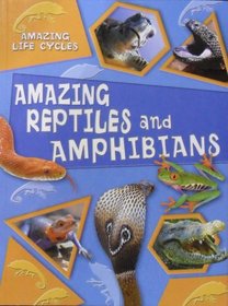 Amazing Reptiles and Amphibians (Amazing Life Cycles)