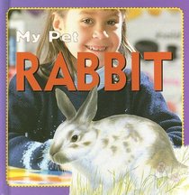Rabbit (My Pet)