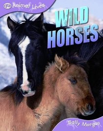 Wild Horses (Animal Lives)
