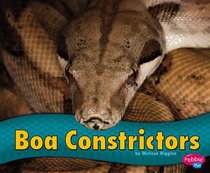 Boa Constrictors (Pebble Plus)