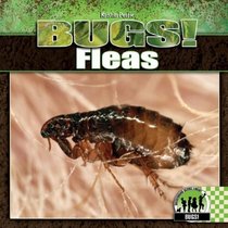 Fleas (Bugs!)
