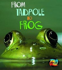 From Tadpole to Frog (Young Explorer: How Living Things Grow) (Young Explorer: How Living Things Grow)