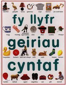 Fy Llyfr Geiriau Cyntaf (Welsh Edition)