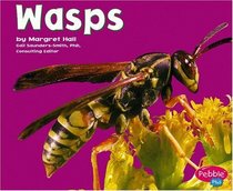 Wasps (Bugs, Bugs, Bugs!)