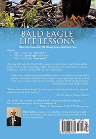 Bald Eagle Life Lessons