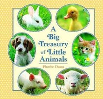 Big Treasury of Little Animals (Random House Picturebacks)