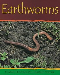 Earthworms (Minibeasts)