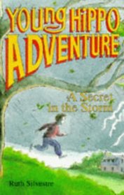 The Secret in the Storm (Young Hippo Adventure)
