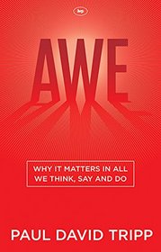 Awe: Why it Matters in All We Think, Say and Do