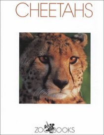 Cheetahs (Zoo Books (Mankato, Minn.).)