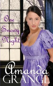 One Snowy Night