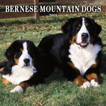 Bernese Mountain Dogs 2005 Wall Calendar