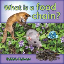 What Is a Food Chain? (My World)
