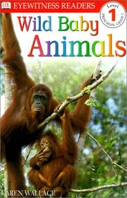 Wild Baby Animals (DK Eyewitness Readers: Level 1 (Paperback))