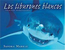 Los Tiburones Blancos / Great White Sharks (Animales Depredadores / Animal Predators)