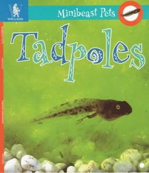 Tadpoles (Minibeast Pets)