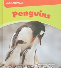 Penguins (Zoo Animals)