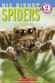 Spiders (Scholastic Reader Level 2)