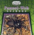 Funnel Web Spiders (Dangerous Spiders)