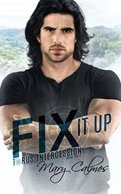 Fix it Up (Torus Intercession, Bk 3)