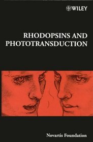 Rhodopsins and Phototransduction - No. 224 (CIBA Foundation Symposia Series)