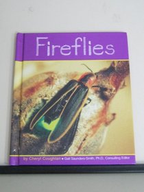 Fireflies (Insects)