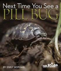 Next Time You See a Pill Bug